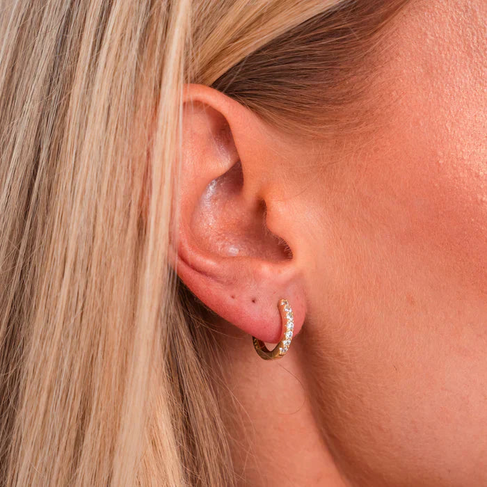 Pieni rengas-ehringit