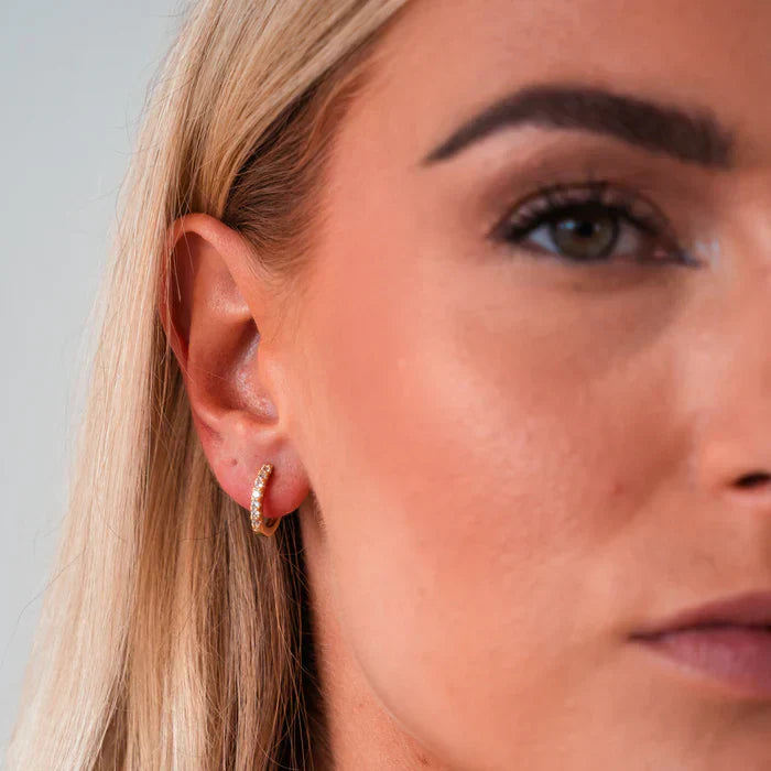 Pieni rengas-ehringit